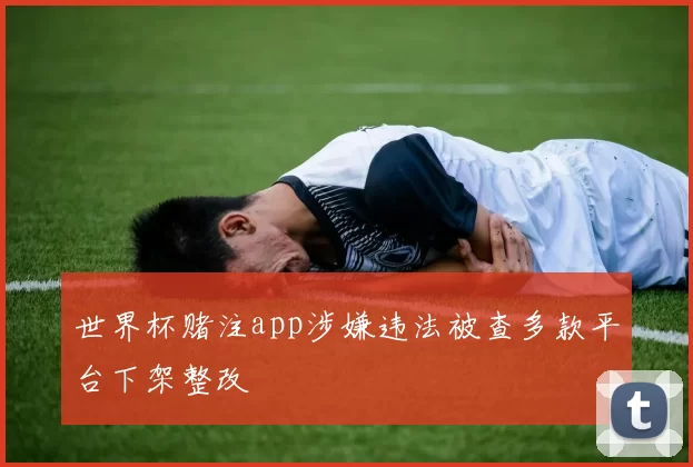 世界杯赌注app涉嫌违法被查多款平台下架整改