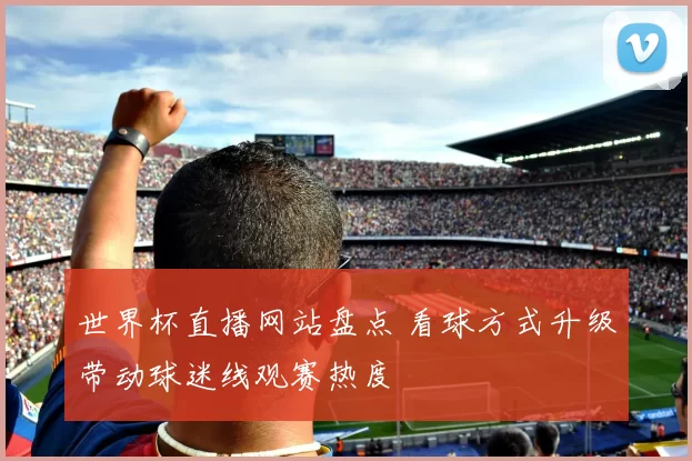 世界杯直播网站盘点 看球方式升级带动球迷线观赛热度